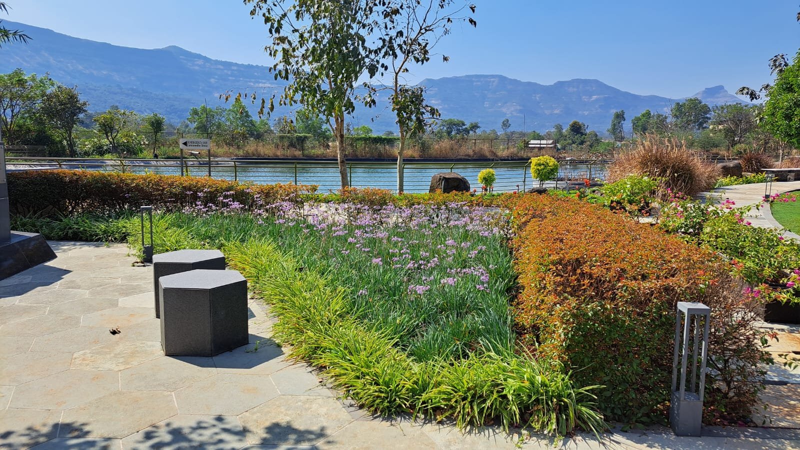 Garden bridge with decorative mushrooms