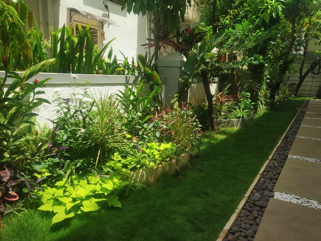 Checkerboard grass and paver design